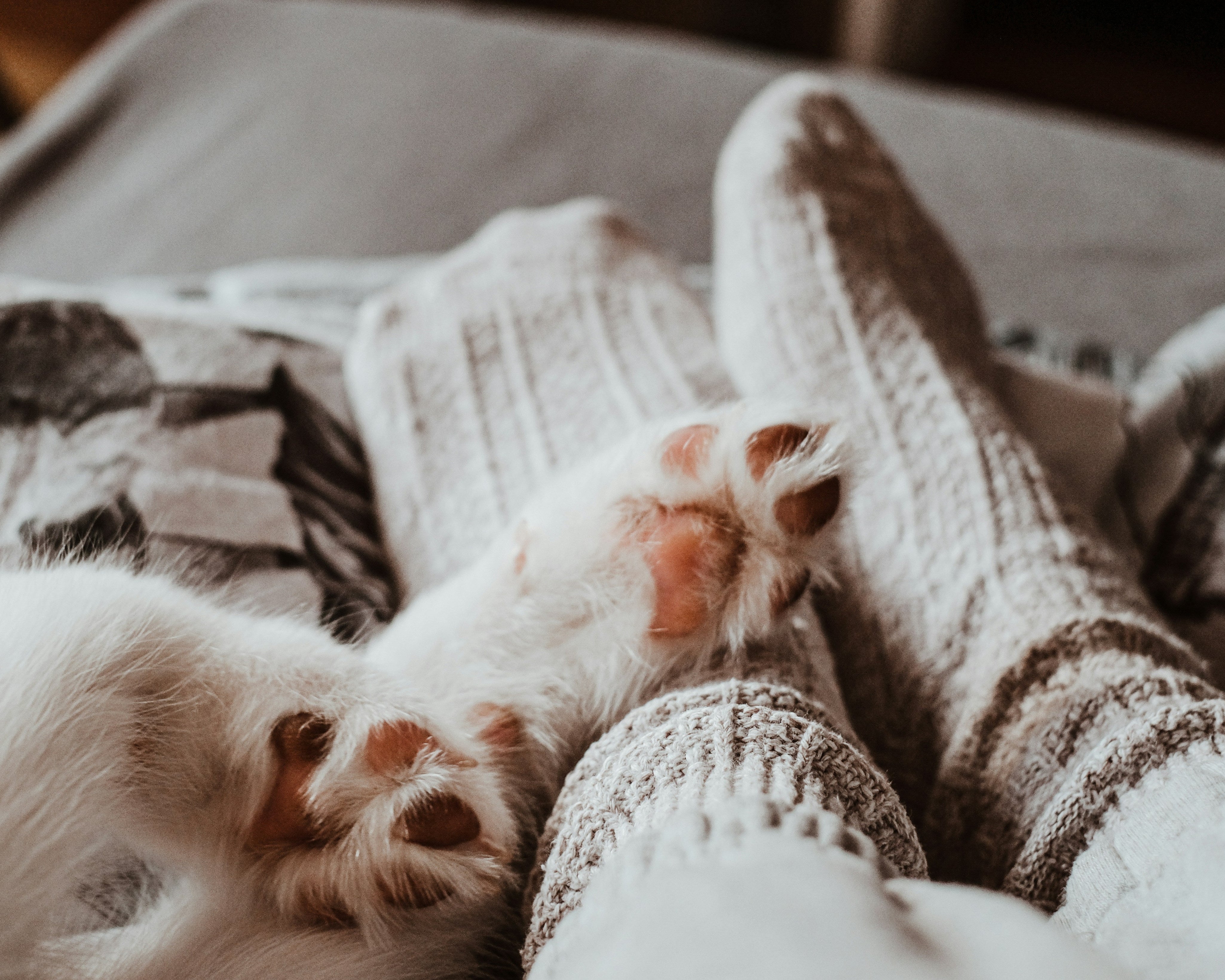 5 raisons d’adopter le pilou pilou dans votre garde-robe cocooning